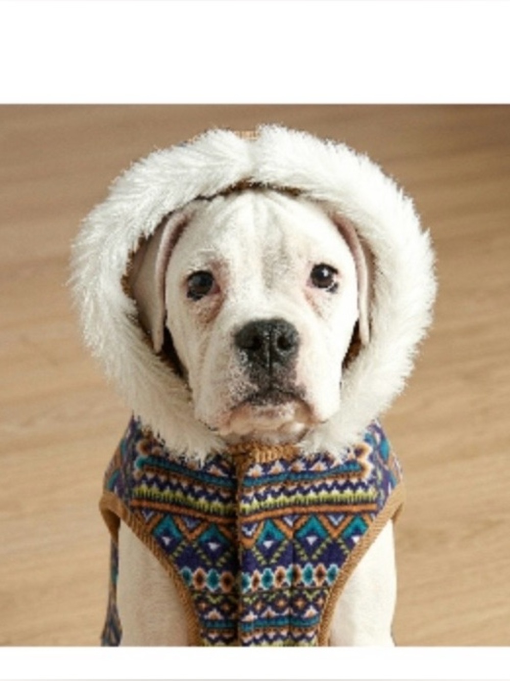 NEW Aztec dog hoodie-Large fleece - Picture 2 of 5